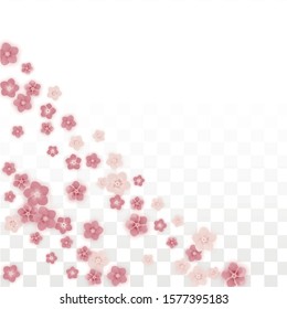 Vector Realistic Pink Flowers Falling on Transparent Background.  Spring Romantic Flowers Illustration. Flying Petals. Sakura Spa Design. Blossom Confetti. Design Elements for  8 March Card.