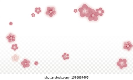 Vector Realistic Pink Flowers Falling on Transparent Background.  Spring Romantic Flowers Illustration. Flying Petals. Sakura Spa Design. Blossom Confetti. Design Elements for  8 March Card.