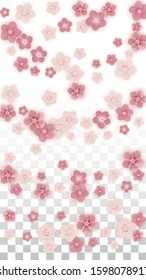 Vector Realistic Pink Flowers Falling on Transparent Background.  Spring Romantic Flowers Illustration. Flying Petals. Sakura Spa Design. Blossom Confetti. Design Elements for  Mother's Day.