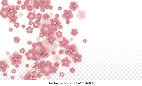 Vector Realistic Pink Flowers Falling on Transparent Background.  Spring Romantic Flowers Illustration. Flying Petals. Sakura Spa Design. Blossom Confetti. Design Elements for  Wedding Decoration.