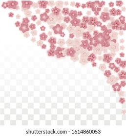 Vector Realistic Pink Flowers Falling on Transparent Background.  Spring Romantic Flowers Illustration. Flying Petals. Sakura Spa Design. Blossom Confetti. Design Elements for  Mother's Day.