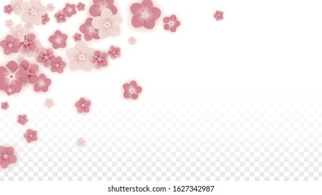 Vector Realistic Pink Flowers Falling on Transparent Background.  Spring Romantic Flowers Illustration. Flying Petals. Sakura Spa Design. Blossom Confetti. Design Elements for  Wedding Decoration.