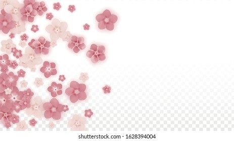 Vector Realistic Pink Flowers Falling on Transparent Background. 
