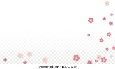 Vector Realistic Pink Flowers Falling on Transparent Background.  Spring Romantic Flowers Illustration. Flying Petals. Sakura Spa Design. Blossom Confetti. Design Elements for  St. Valentine Day.