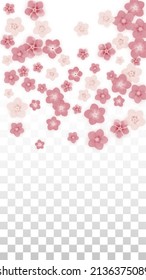 Vector Realistic Pink Flowers Falling on Transparent Background.  Spring Romantic Flowers Illustration. Flying Petals. Sakura Spa Design. Blossom Confetti. Design Elements for  St. Valentine Day.