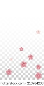 Vector Realistic Pink Flowers Falling on Transparent Background.  Spring Romantic Flowers Illustration. Flying Petals. Sakura Spa Design. Blossom Confetti. Design Elements for  8 March Card.