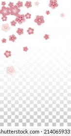Vector Realistic Pink Flowers Falling on Transparent Background.  Spring Romantic Flowers Illustration. Flying Petals. Sakura Spa Design. Blossom Confetti. Design Elements for  Wedding Decoration.