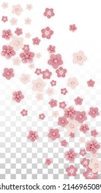 Vector Realistic Pink Flowers Falling on Transparent Background.  Spring Romantic Flowers Illustration. Flying Petals. Sakura Spa Design. Blossom Confetti. Design Elements for  St. Valentine Day.
