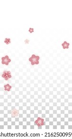 Vector Realistic Pink Flowers Falling on Transparent Background.  Spring Romantic Flowers Illustration. Flying Petals. Sakura Spa Design. Blossom Confetti. Design Elements for  8 March Card.