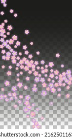 Vector Realistic Pink Flowers Falling on Transparent Background.  Spring Romantic Flowers Illustration. Flying Petals. Sakura Spa Design.  Blossom Confetti. Design Elements for  Wedding Decoration.