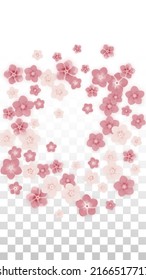Flores rosa vectoriales realistas caen sobre fondo transparente.  Ilustración de flores románticas primaverales. Pétalos voladores. Diseño del Spa Sakura. Blossom Confetti. Elementos de diseño para el diseño de afiches. 
