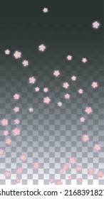 Vector Realistic Pink Flowers Falling on Transparent Background.  Spring Romantic Flowers Illustration. Flying Petals. Sakura Spa Design.  Blossom Confetti. Design Elements for  Wedding Decoration.