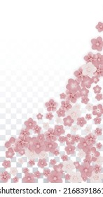 Vector Realistic Pink Flowers Falling on Transparent Background.  Spring Romantic Flowers Illustration. Flying Petals. Sakura Spa Design. Blossom Confetti. Design Elements for  Poster Design. 