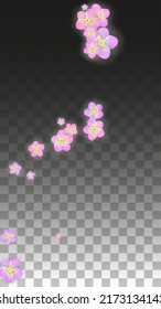 Vector Realistic Pink Flowers Falling on Transparent Background.  Spring Romantic Flowers Illustration. Flying Petals. Sakura Spa Design.  Blossom Confetti. Design Elements for  Mother's Day.