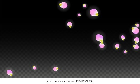 Vector Realistic Pink Petals Falling on Transparent Background.  Spring Romantic Flowers Illustration. Flying Petals. Sakura Spa Design.  Blossom Confetti. Design Elements for  Wedding Decoration.