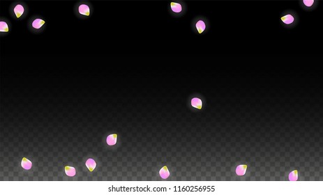 Vector Realistic Pink Petals Falling on Transparent Background.  Spring Romantic Flowers Illustration. Flying Petals. Sakura Spa Design.  Blossom Confetti. Design Elements for  Mother's Day.