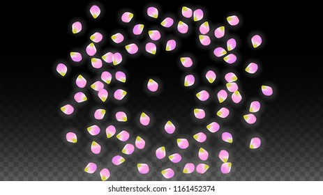 Vector Realistic Pink Petals Falling on Transparent Background.  Spring Romantic Flowers Illustration. Flying Petals. Sakura Spa Design.  Blossom Confetti. Design Elements for  St. Valentine Day.