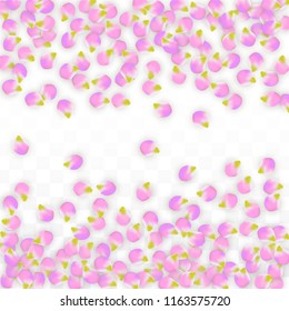 Vector Realistic Pink Petals Falling on Transparent Background.  Spring Romantic Flowers Illustration. Flying Petals. Sakura Spa Design.  Blossom Confetti. Design Elements for  Mother's Day.