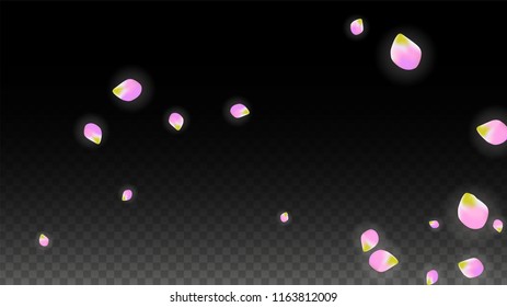 Vector Realistic Pink Petals Falling on Transparent Background.  Spring Romantic Flowers Illustration. Flying Petals. Sakura Spa Design.  Blossom Confetti. Design Elements for  Poster Design. 