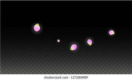 Vector Realistic Pink Petals Falling on Transparent Background.  Spring Romantic Flowers Illustration. Flying Petals. Sakura Spa Design.  Blossom Confetti. Design Elements for  Mother's Day.
