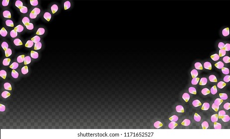 Vector Realistic Pink Petals Falling on Transparent Background.  Spring Romantic Flowers Illustration. Flying Petals. Sakura Spa Design.  Blossom Confetti. Design Elements for  St. Valentine Day.