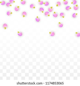 Vector Realistic Pink Petals Falling on Transparent Background.  Spring Romantic Flowers Illustration. Flying Petals. Sakura Spa Design.  Blossom Confetti. Design Elements for  8 March Card.