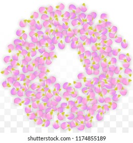 Vector Realistic Pink Petals Falling on Transparent Background.  Spring Romantic Flowers Illustration. Flying Petals. Sakura Spa Design.  Blossom Confetti. Design Elements for  Mother's Day.