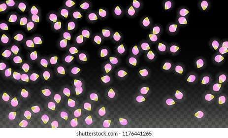 Vector Realistic Pink Petals Falling on Transparent Background.  Spring Romantic Flowers Illustration. Flying Petals. Sakura Spa Design.  Blossom Confetti. Design Elements for  Mother's Day.