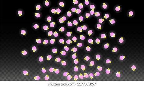 Vector Realistic Pink Petals Falling on Transparent Background.  Spring Romantic Flowers Illustration. Flying Petals. Sakura Spa Design.  Blossom Confetti. Design Elements for  8 March Card.
