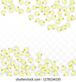 Vector Realistic Pink Petals Falling on Transparent Background.  Spring Romantic Flowers Illustration. Flying Petals. Sakura Spa Design.  Blossom Confetti. Design Elements for  Poster Design. 