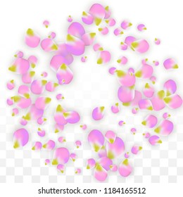 Vector Realistic Pink Petals Falling on Transparent Background.  Spring Romantic Flowers Illustration. Flying Petals. Sakura Spa Design.  Blossom Confetti. Design Elements for  8 March Card.