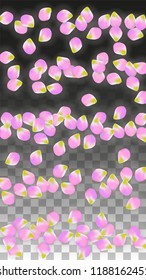 Vector Realistic Pink Petals Falling on Transparent Background.  Spring Romantic Flowers Illustration. Flying Petals. Sakura Spa Design.  Blossom Confetti. Design Elements for  Wedding Decoration.