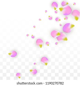 Vector Realistic Pink Petals Falling on Transparent Background.  Spring Romantic Flowers Illustration. Flying Petals. Sakura Spa Design.  Blossom Confetti. Design Elements for  Mother's Day.