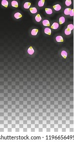 Vector Realistic Pink Petals Falling on Transparent Background.  Spring Romantic Flowers Illustration. Flying Petals. Sakura Spa Design.  Blossom Confetti. Design Elements for  Mother's Day.