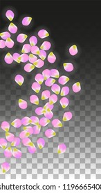 Vector Realistic Pink Petals Falling on Transparent Background.  Spring Romantic Flowers Illustration. Flying Petals. Sakura Spa Design.  Blossom Confetti. Design Elements for  Mother's Day.