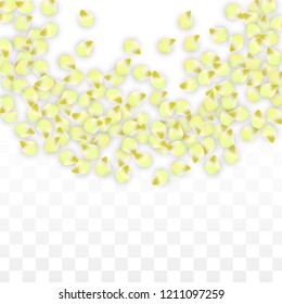 Vector Realistic Pink Petals Falling on Transparent Background.  Spring Romantic Flowers Illustration. Flying Petals. Sakura Spa Design.  Blossom Confetti. Design Elements for  Wedding Decoration.