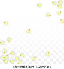 Vector Realistic Pink Petals Falling on Transparent Background.  Spring Romantic Flowers Illustration. Flying Petals. Sakura Spa Design.  Blossom Confetti. Design Elements for  Wedding Decoration.
