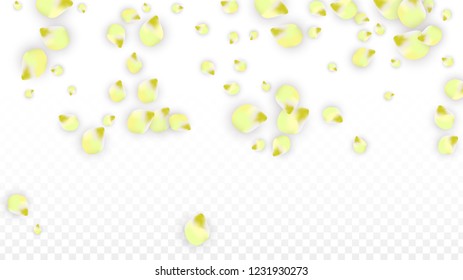 Vector Realistic Pink Petals Falling on Transparent Background.  Spring Romantic Flowers Illustration. Flying Petals. Sakura Spa Design.  Blossom Confetti. Design Elements for  Mother's Day.