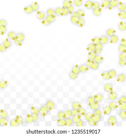 Vector Realistic Pink Petals Falling on Transparent Background.  Spring Romantic Flowers Illustration. Flying Petals. Sakura Spa Design.  Blossom Confetti. Design Elements for  St. Valentine Day.