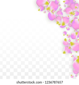 Vector Realistic Pink Petals Falling on Transparent Background.  Spring Romantic Flowers Illustration. Flying Petals. Sakura Spa Design.  Blossom Confetti. Design Elements for  Poster Design. 