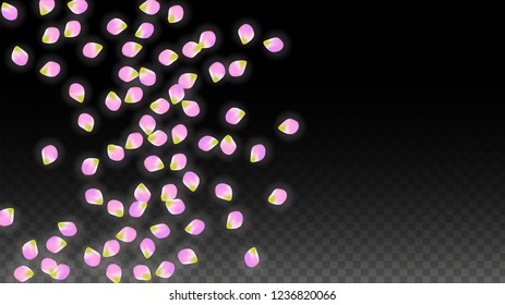 Vector Realistic Pink Petals Falling on Transparent Background.  Spring Romantic Flowers Illustration. Flying Petals. Sakura Spa Design.  Blossom Confetti. Design Elements for  Mother's Day.