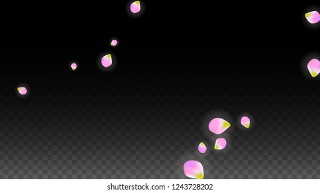 Vector Realistic Pink Petals Falling on Transparent Background.  Spring Romantic Flowers Illustration. Flying Petals. Sakura Spa Design.  Blossom Confetti. Design Elements for  Wedding Decoration.