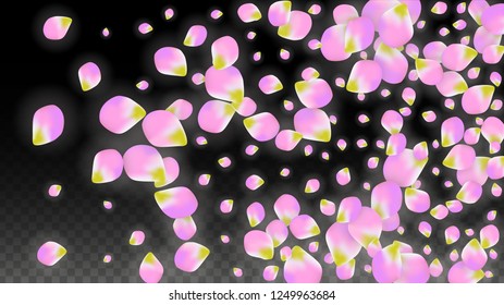 Vector Realistic Pink Petals Falling on Transparent Background.  Spring Romantic Flowers Illustration. Flying Petals. Sakura Spa Design.  Blossom Confetti. Design Elements for  St. Valentine Day.
