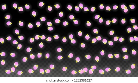 Vector Realistic Pink Petals Falling on Transparent Background.  Spring Romantic Flowers Illustration. Flying Petals. Sakura Spa Design.  Blossom Confetti. Design Elements for  Mother's Day.
