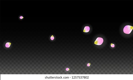 Vector Realistic Pink Petals Falling on Transparent Background.  Spring Romantic Flowers Illustration. Flying Petals. Sakura Spa Design.  Blossom Confetti. Design Elements for  St. Valentine Day.