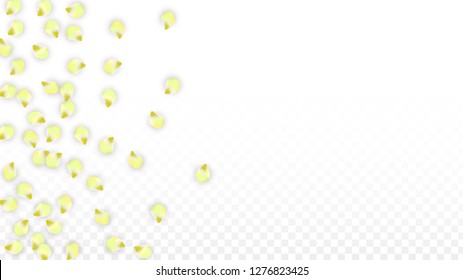 Vector Realistic Pink Petals Falling on Transparent Background.  Spring Romantic Flowers Illustration. Flying Petals. Sakura Spa Design.  Blossom Confetti. Design Elements for  Wedding Decoration.