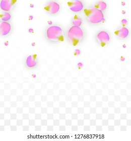 Vector Realistic Pink Petals Falling on Transparent Background.  Spring Romantic Flowers Illustration. Flying Petals. Sakura Spa Design.  Blossom Confetti. Design Elements for  St. Valentine Day.