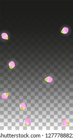 Vector Realistic Pink Petals Falling on Transparent Background.  Spring Romantic Flowers Illustration. Flying Petals. Sakura Spa Design.  Blossom Confetti. Design Elements for  Mother's Day.