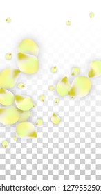 Vector Realistic Pink Petals Falling on Transparent Background.  Spring Romantic Flowers Illustration. Flying Petals. Sakura Spa Design.  Blossom Confetti. Design Elements for  St. Valentine Day.