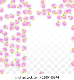 Vector Realistic Pink Petals Falling on Transparent Background.  Spring Romantic Flowers Illustration. Flying Petals. Sakura Spa Design.  Blossom Confetti. Design Elements for  St. Valentine Day.